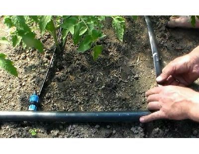 Как правильно подбирать капельную ленту 