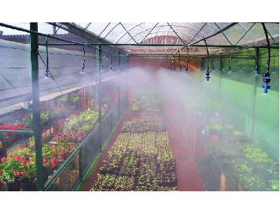 Микроспринклерный полив в теплицах, назначение, виды, устройство