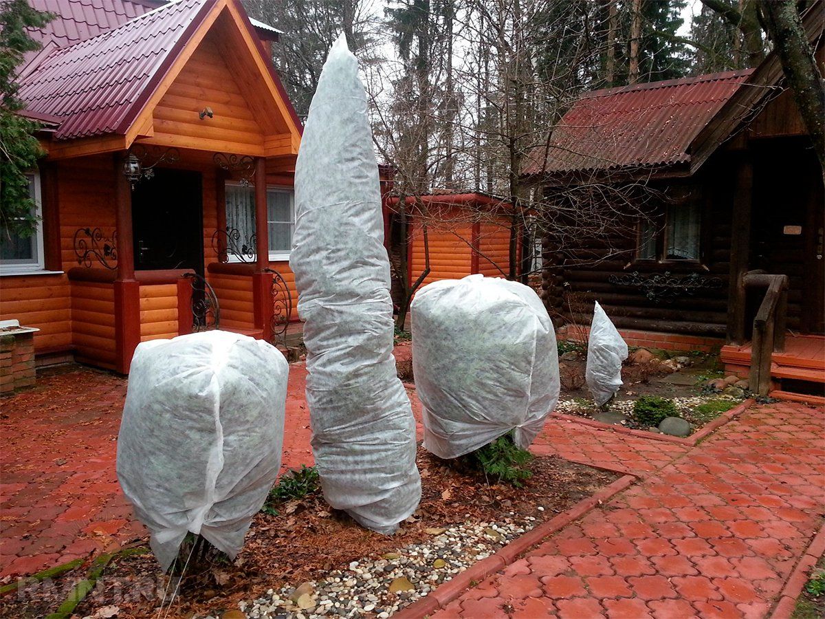 Как правильно подготовить сад  к зиме