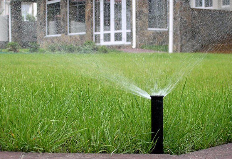 Преимущества и недостатки автоматического полива