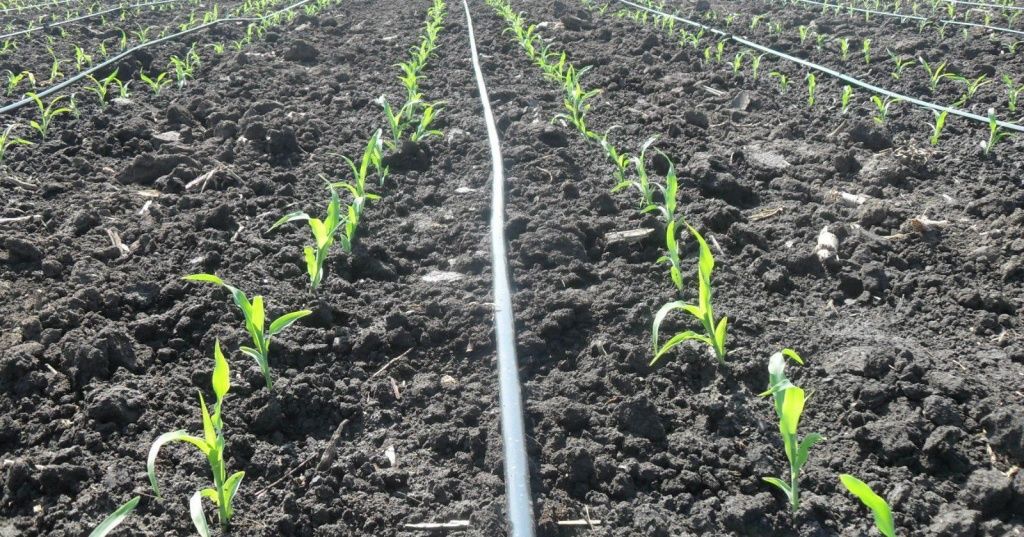 234534534342232.jpg 234534534342232.jpg