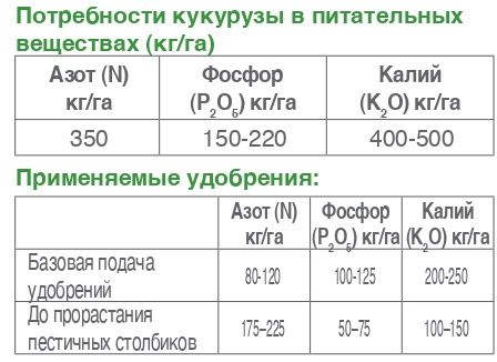 34534534334.jpg 34534534334.jpg