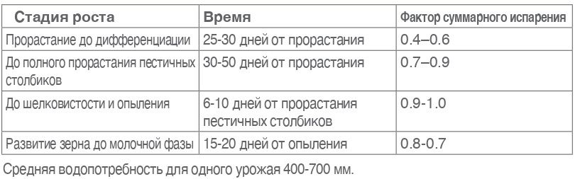 4235343432.jpg 4235343432.jpg