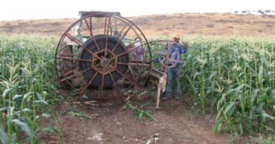 378566.jpg 378566.jpg