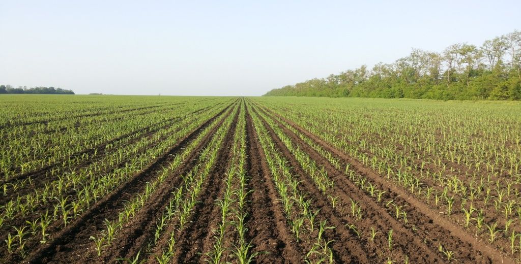 776545.jpg 776545.jpg