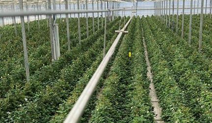 МОНТАЖ СИОД